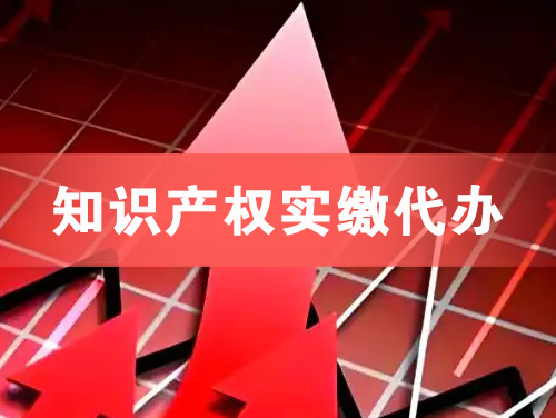 来宾知识产权实缴资本代办